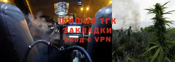 прущие грибы Нефтегорск