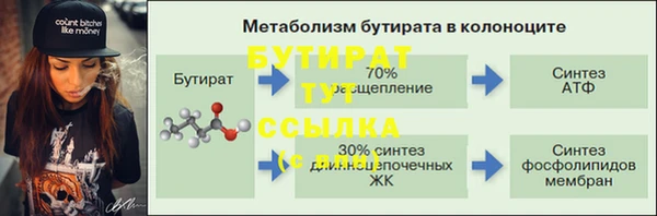 стаф Каменка