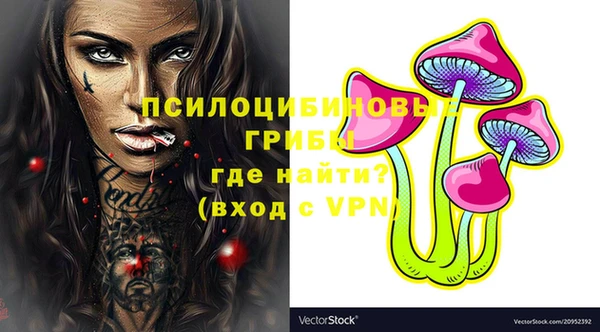 прущие грибы Нефтегорск