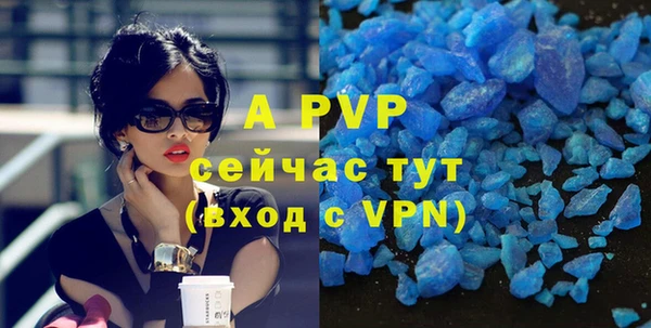 прущие грибы Нефтегорск