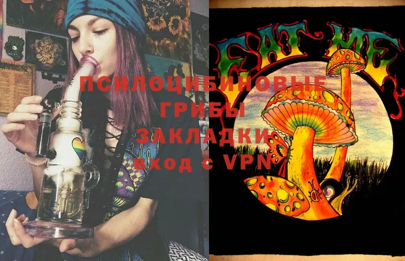 Псилоцибиновые грибы Magic Shrooms Лысьва