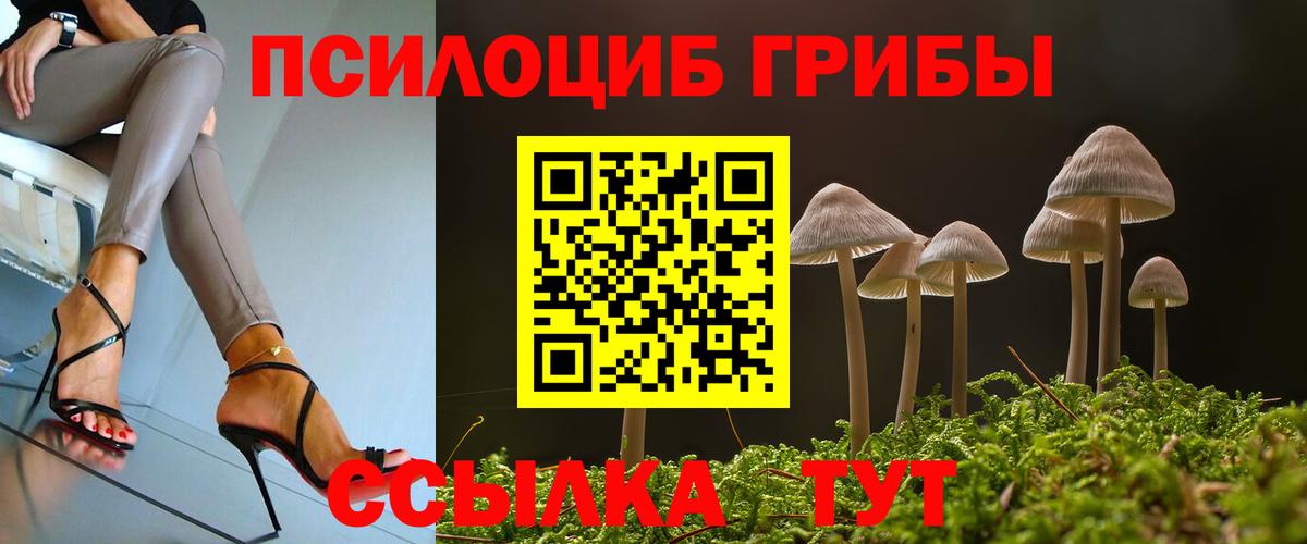 Галлюциногенные грибы Cubensis  Вход с VPN  Лысьва 